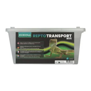 Repto Transport Box – pojemnik hodowlany, zdjęcie wyśrodkowane